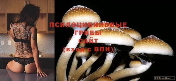 бутират Алзамай