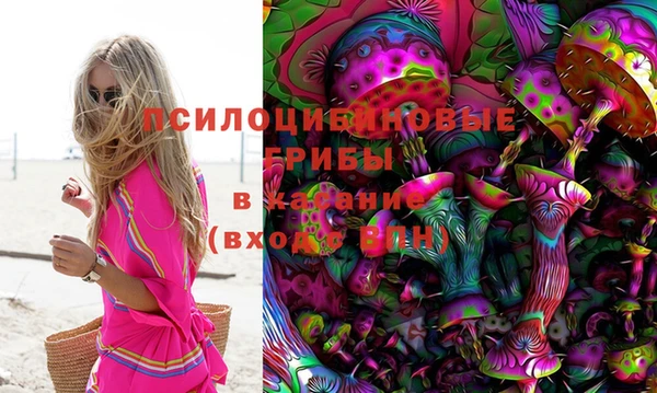 мяу мяу мука Алексин