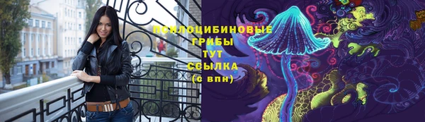 мяу мяу мука Алексин